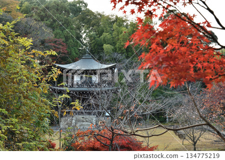 秋色籠罩下的觀音寺觀音殿(京都市山科區) 秋色籠罩下的觀音寺觀音殿(京都市山科區) 134775219