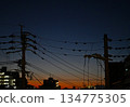 Electric wires and sunset in the twilight sky 134775305