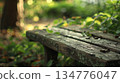 Old wooden bench being reclaimed by nature in lush green garden 134776047