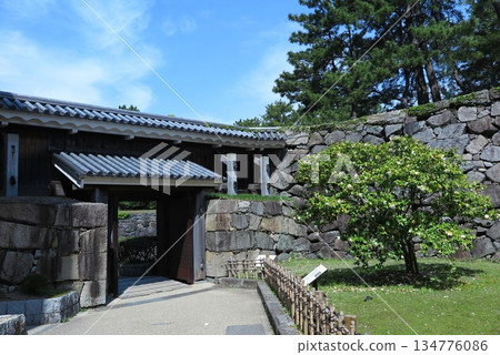 Nagoya Castle landscape: Unknown Gate (Akazu no Mon) and the Palace Camellia Tree 134776086