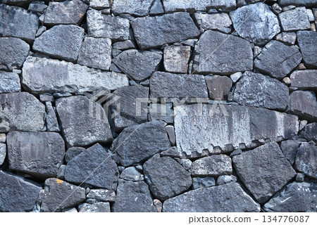 View of Nagoya Castle: Enlarged view of a section of the stone wall 134776087