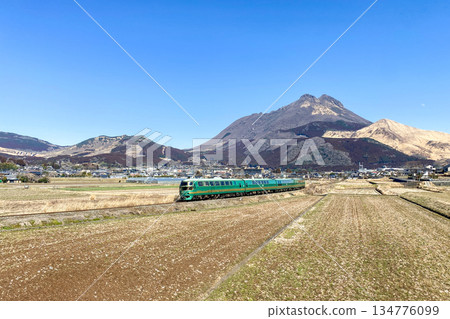 冬季，貫穿由布院盆地的由布院森林 134776099