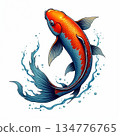 Graceful orange blue koi fish illustration jumping up, creating beautiful water splash. Artistic Asian carp swimming 134776765