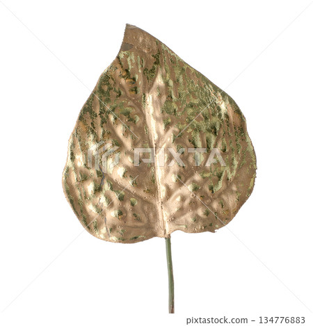 Beautiful decorative golden leaf 134776883