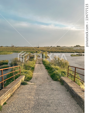 View of sunset on Ria de Aveiro, Ovar, Portugal. View of sunset on Ria de Aveiro, Ovar, Portugal. 134777115