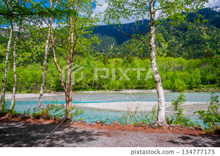 清爽的上高地「春意盎然的梓川沿岸」（長野縣松本市） 134777173