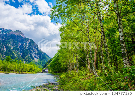 Refreshing Kamikochi "Along the Azusa River in the Spring Green Season" (Matsumoto City, Nagano Prefecture) 134777180
