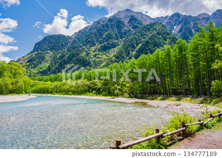 Refreshing Kamikochi "Fresh green larch forest and the clear Azusa River" (Matsumoto City, Nagano Prefecture) Refreshing Kamikochi "Fresh green larch forest and the clear Azusa River" (Matsumoto City, Nagano Prefecture) 134777189