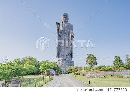Ibaraki Ushiku Great Buddha 134777223