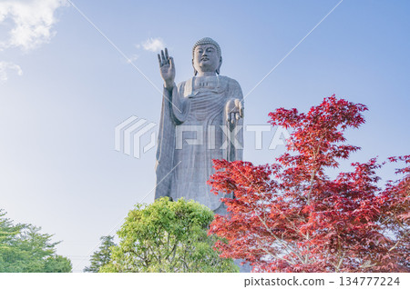 Ibaraki Ushiku Great Buddha 134777224