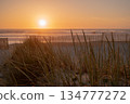 A sunset at Furadouro beach, Ovar, Aveiro region of Portugal 134777272