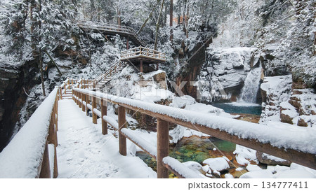 湯森溪谷（冬季）：龍神瀑布 134777411