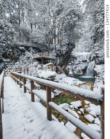 湯森溪谷（冬季）：龍神瀑布 134777414