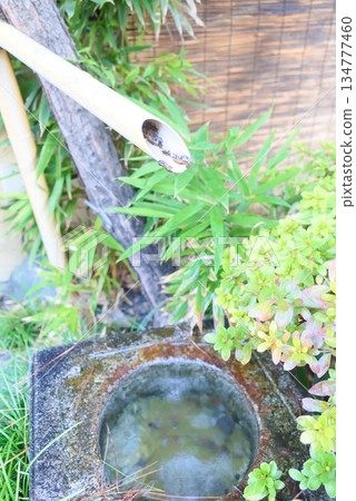 The tranquility of the water flowing from the water basin and bamboo stream in a Japanese garden 134777460