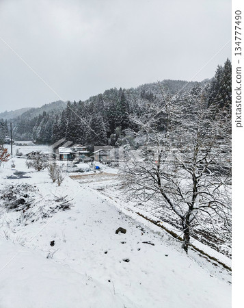 Winter countryside landscape 134777490