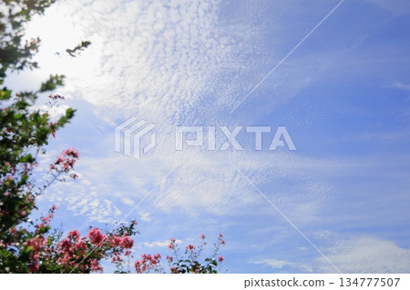 Refreshing autumn sky with cirrocumulus clouds Refreshing autumn sky with cirrocumulus clouds 134777507