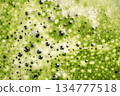 Close-up of matcha tea latte foam 134777518