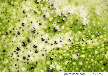 Close-up of matcha tea latte foam Close-up of matcha tea latte foam 134777518