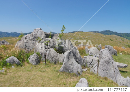 Spring 2025: Withered grass remains at the summit of Mount Kanmuriyama on Akiyoshidai 134777537