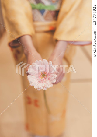 穿著和服的女子手捧一朵粉紅色花朵 穿著和服的女子手捧一朵粉紅色花朵 134777922