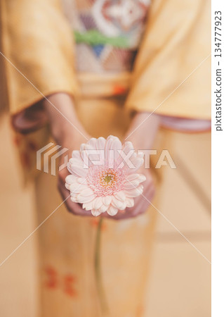 穿著和服的女子手捧一朵粉紅色花朵 穿著和服的女子手捧一朵粉紅色花朵 134777923