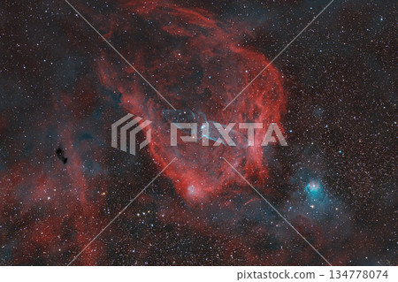 巨型烏賊星雲和飛行蝙蝠星雲 巨型烏賊星雲和飛行蝙蝠星雲 134778074