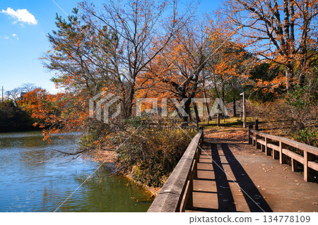 Ano Central Park Ano Central Park 134778109