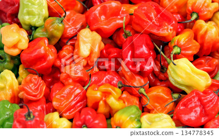 Habanero pepper Habanero pepper 134778345
