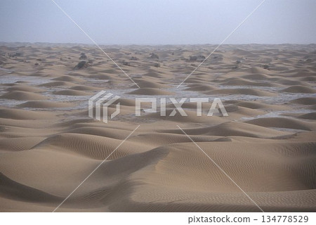 塔克拉瑪乾沙漠沙丘景觀 塔克拉瑪乾沙漠沙丘景觀 134778529