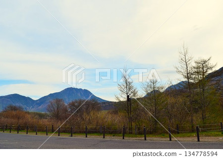 Senjogahara in Spring Nikko City Tochigi Prefecture 6 Senjogahara in Spring Nikko City Tochigi Prefecture 6 134778594
