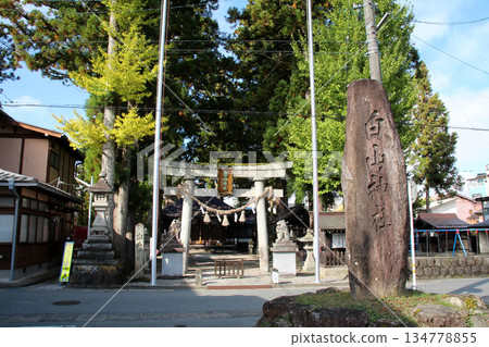 飛驒高山的一本杉白山神社 飛驒高山的一本杉白山神社 134778855