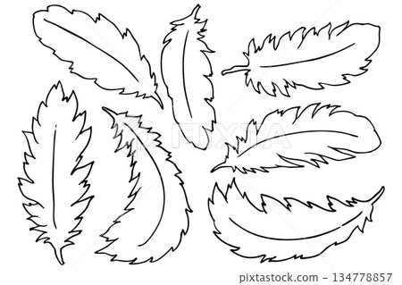 羽毛和翅膀線條畫向量插圖集 | 羽毛和鳥類符號設計 134778857