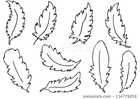 羽毛和翅膀線條畫向量插圖集 | 羽毛和鳥類符號設計 134778858