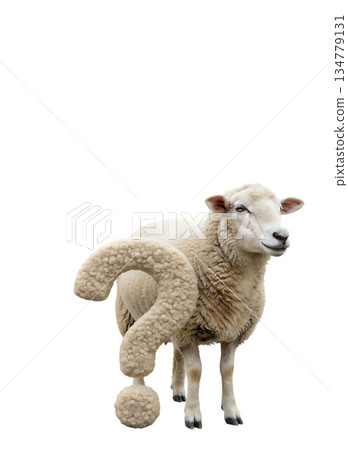 一隻毛茸茸的小綿羊引領你進入羊毛的神秘世界 134779131