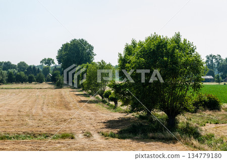 Nature in East Flanders 134779180