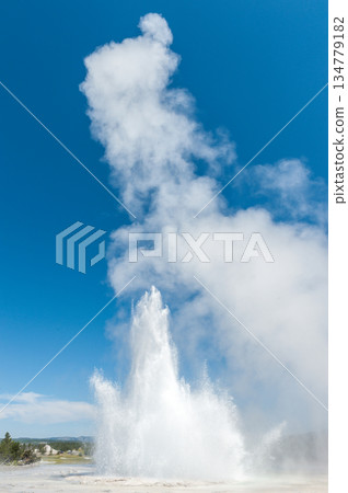 Geyser eruption in Yellowstone Geyser eruption in Yellowstone 134779182