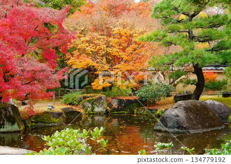 Autumn leaves at Koko-en Garden, Himeji Castle West Residence Site, Himeji City Autumn leaves at Koko-en Garden, Himeji Castle West Residence Site, Himeji City 134779192