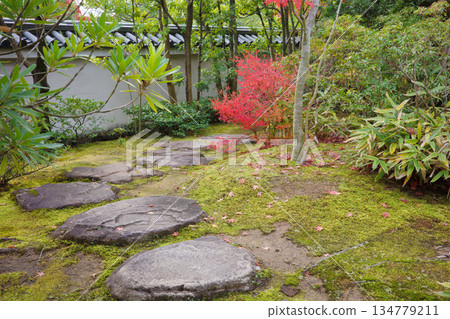 Autumn leaves at Koko-en Garden, Himeji Castle West Residence Site, Himeji City Autumn leaves at Koko-en Garden, Himeji Castle West Residence Site, Himeji City 134779211