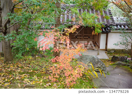 姬路市姬路城西居遺址古古園的秋葉 姬路市姬路城西居遺址古古園的秋葉 134779226