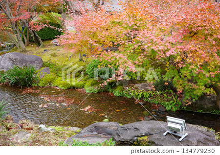 姬路市姬路城西居遺址古古園的秋葉 134779230