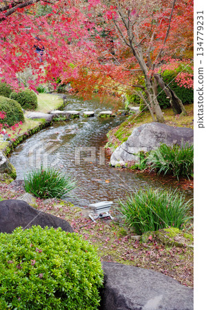 姬路市姬路城西居遺址古古園的秋葉 134779231
