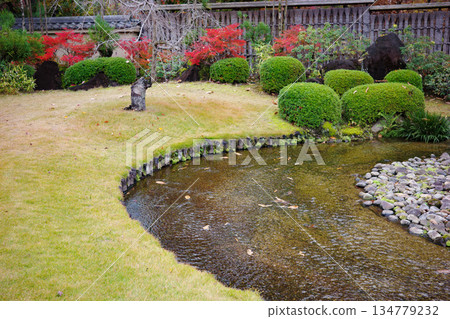 姬路市姬路城西居遺址古古園的秋葉 134779232