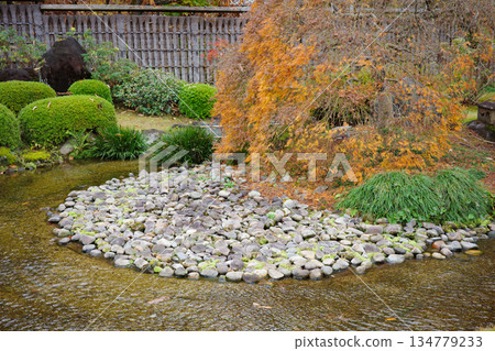 姬路市姬路城西居遺址古古園的秋葉 134779233