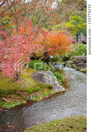 姬路市姬路城西居遺址古古園的秋葉 134779235