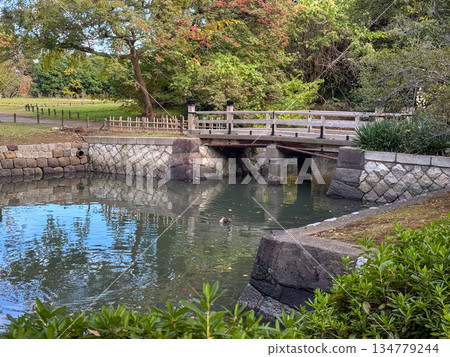 2025年11月12日，日本東京中央區，濱離宮庭園潮池上的木橋與平靜的池水交相輝映。 134779244