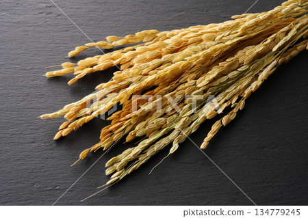 稻穗圖片 134779245