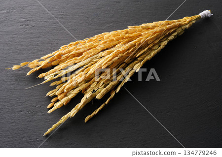 稻穗圖片 134779246
