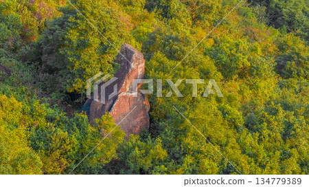 Rock Amid Autumn Forest Canopy: Solitary Stone Surrounded Nov 10 2025 134779389