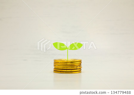 搖錢樹 134779488