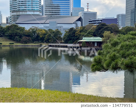 Panoramic view of modern skyscrapers reflected in the tidal pond at Hamarikyu Gardens, November 12, 2025, Central Tokyo Panoramic view of modern skyscrapers reflected in the tidal pond at Hamarikyu Gardens, November 12, 2025, Central Tokyo 134779551